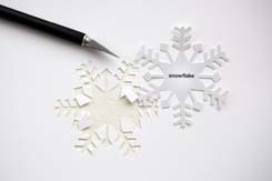 1216-snowflake-cuts