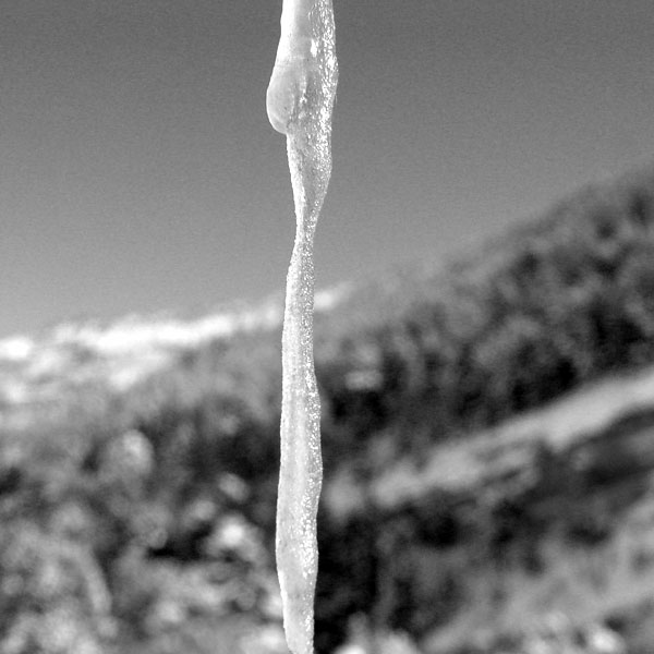 icicle_bw.jpg